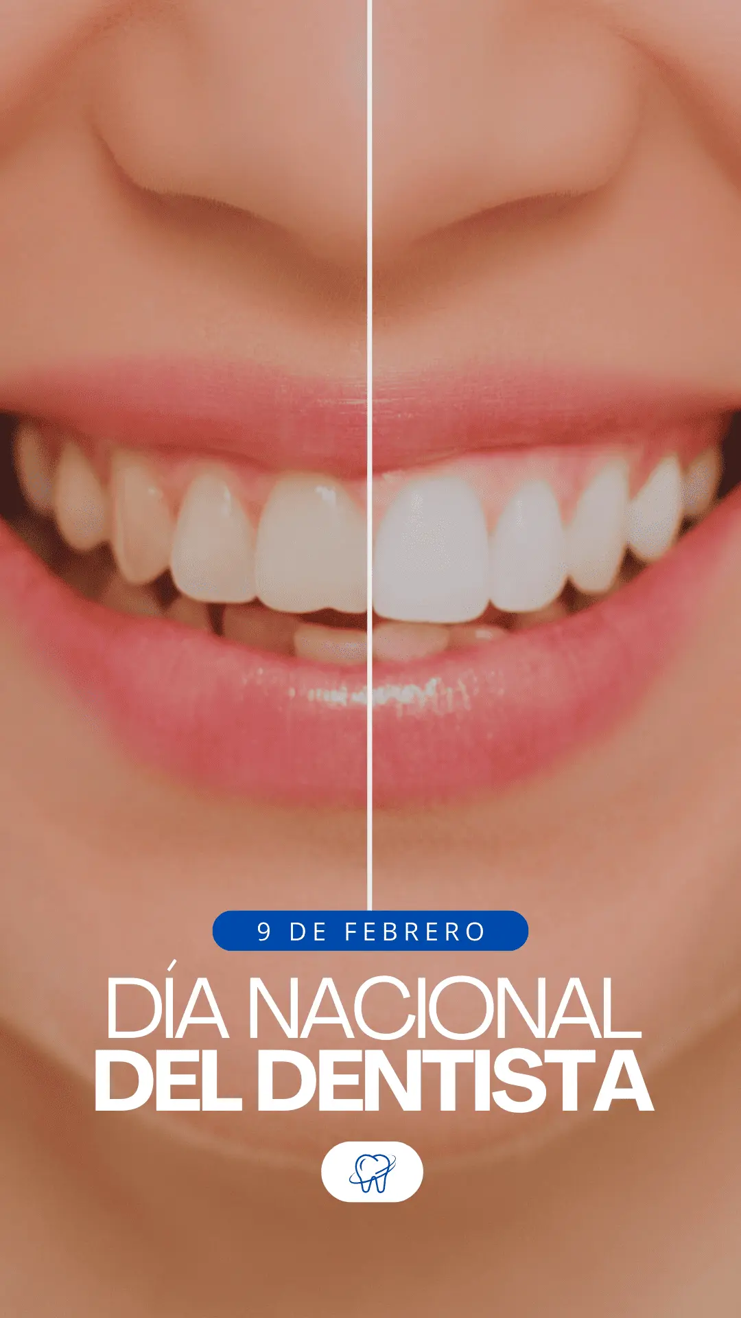 Manejo de redes sociales